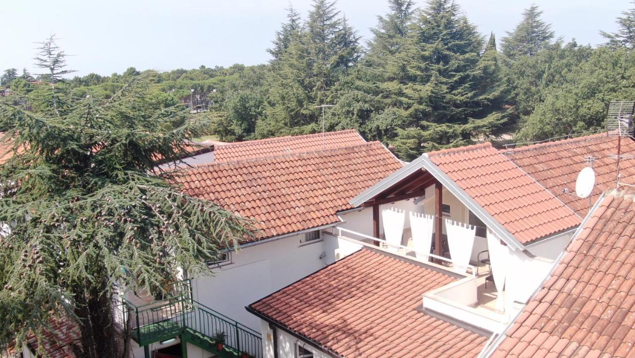 Apartment Katoro 우마그 외부 사진